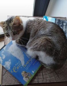 lluna4